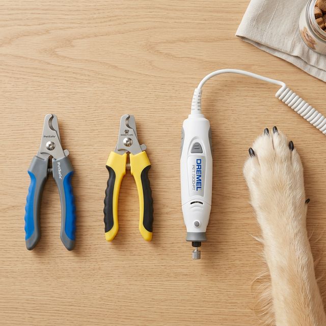 Best Dog Nail Clippers and Grinders: Pain-Free Trimming Tools