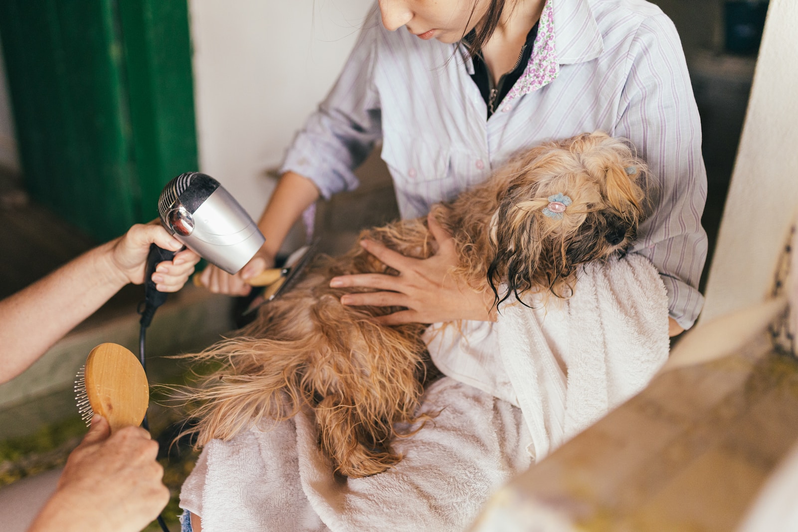 Essential Dog Grooming Tips for a Happy and Healthy Pet