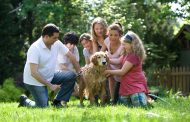 How to Choose the Perfect Dog Breed for Your Lifestyle and Family