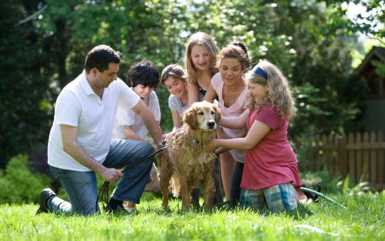 How to Choose the Perfect Dog Breed for Your Lifestyle and Family