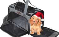 Soft Dog Carriers: Which is the Best Option for Your Furry Friend?
