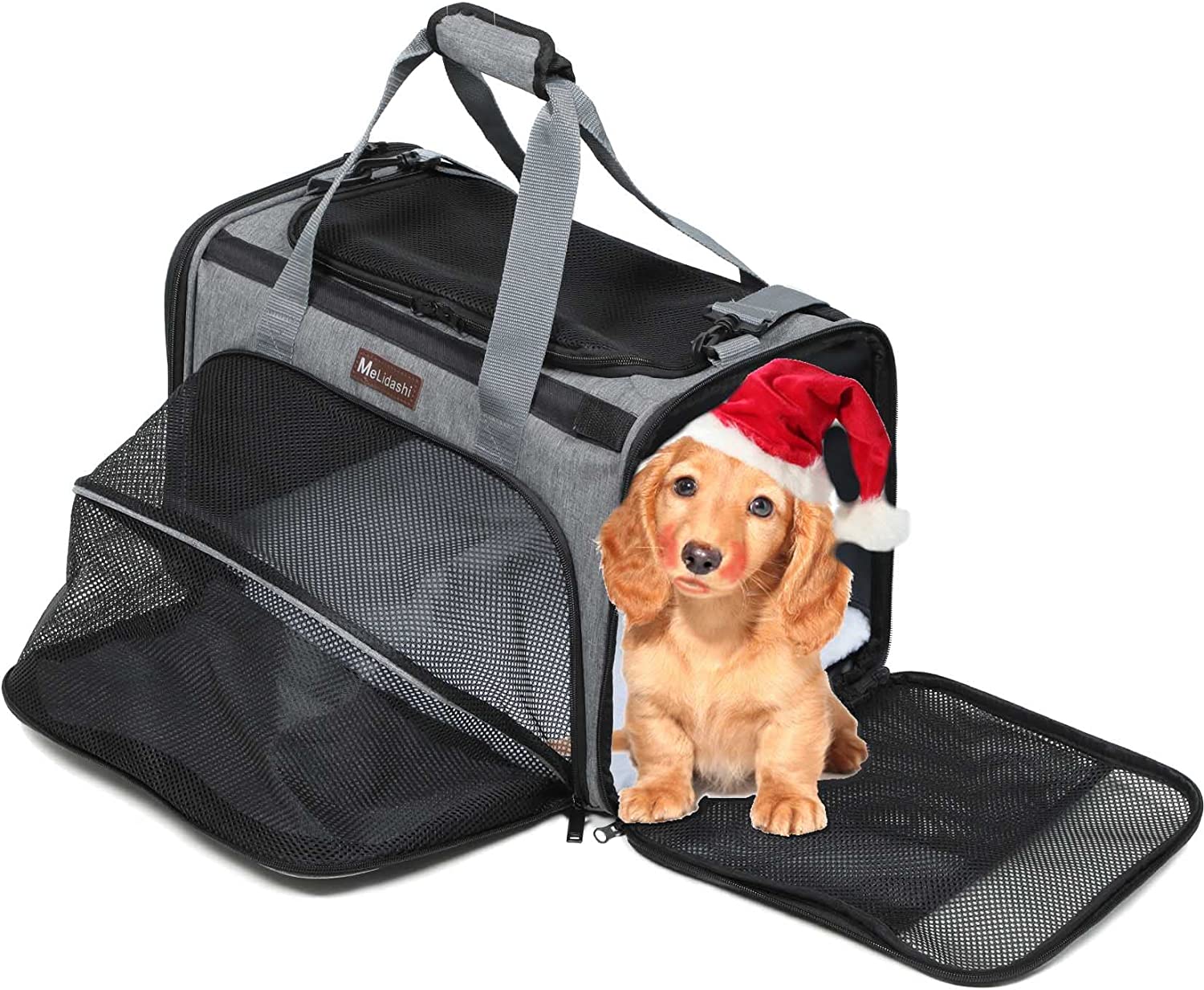 Soft Dog Carriers: Which is the Best Option for Your Furry Friend?